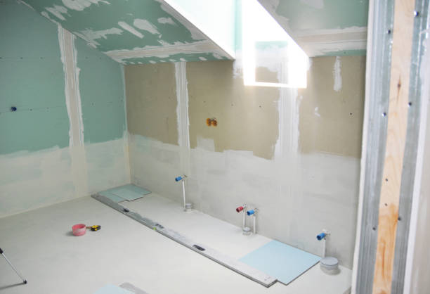 Professional Mold Removal in New Waverly, TX