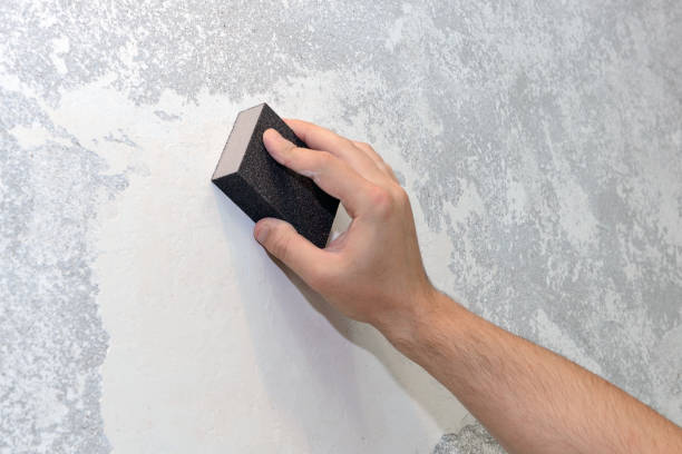 Best Air Quality Testing for Mold Spores  in New Waverly, TX