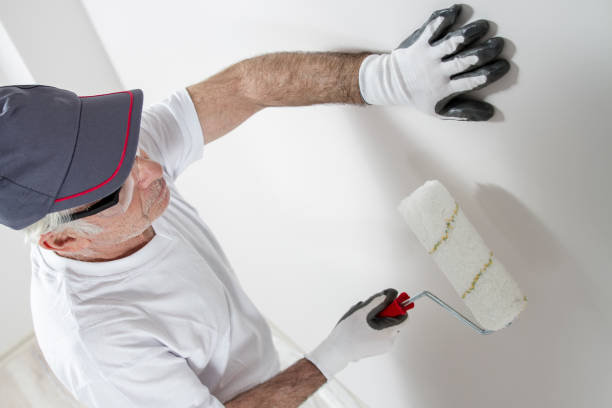 Best Mold Damage Restoration  in New Waverly, TX