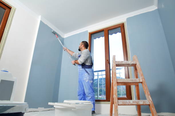 Best Basement Mold Removal  in New Waverly, TX