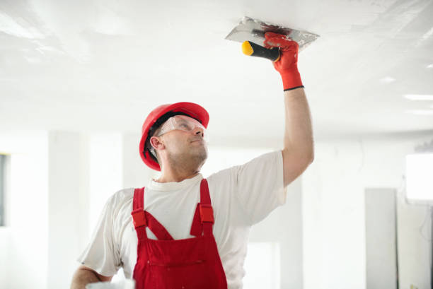 Best Mold Removal for HVAC Installations  in New Waverly, TX