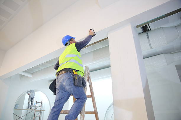 Best Attic Mold Removal  in New Waverly, TX