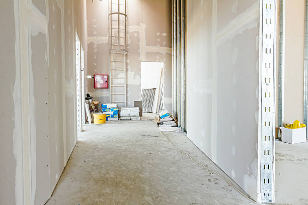 Best Emergency Mold Remediation  in New Waverly, TX