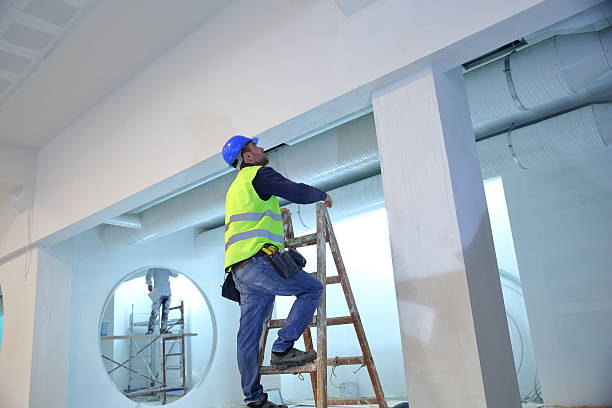 Reliable New Waverly, TX Mold Removal Solutions